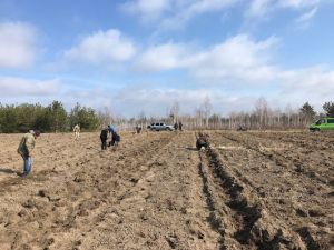 Рівненщина: Старосільська громада впроваджує власні проекти